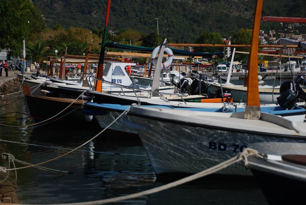 Coastal Boat Tours