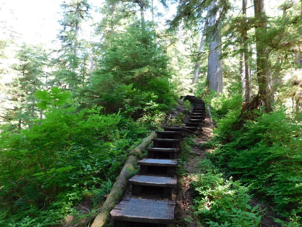 Challenging Trails