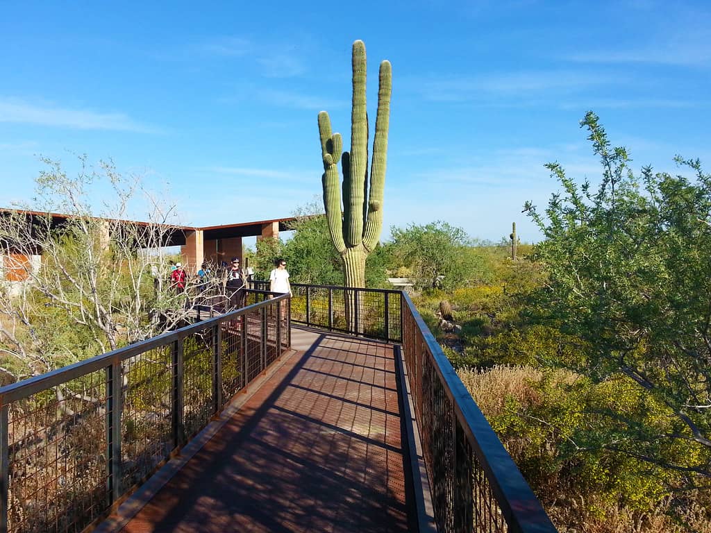 Family-Friendly Paths