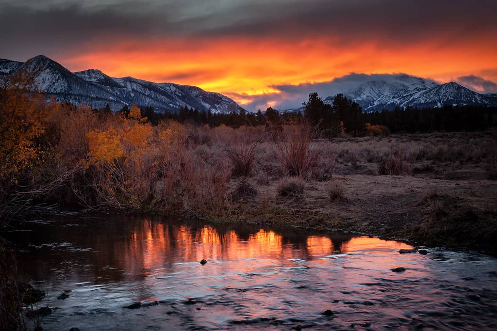 Tranquil Water Reflections