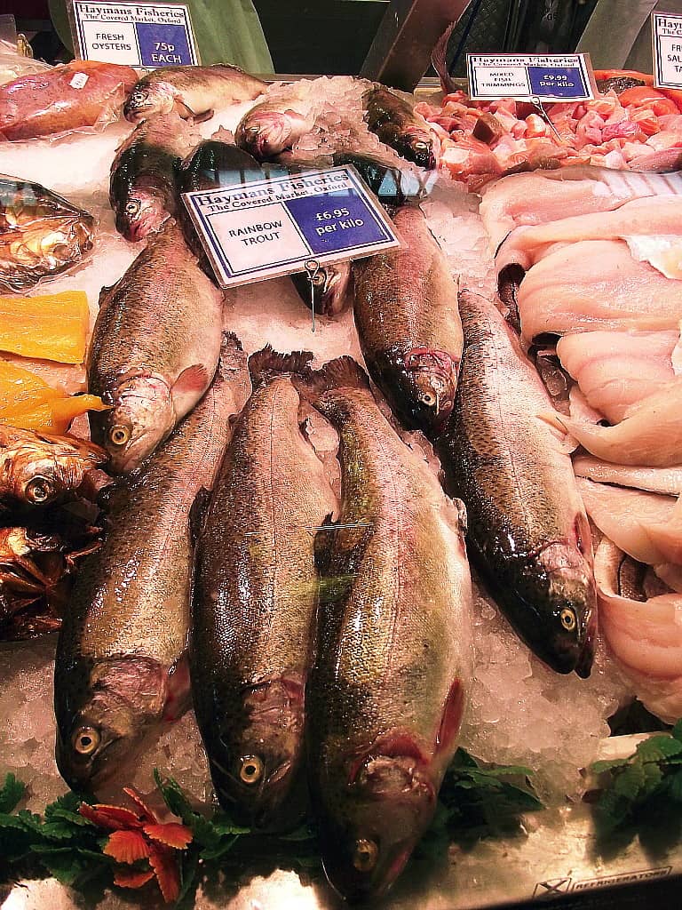 Seafood Delights