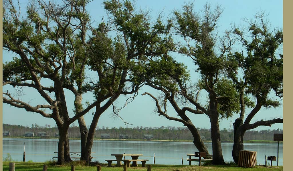 Lake Shelby