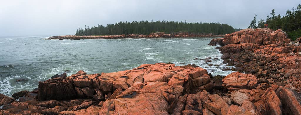 Coastal Forest Walk