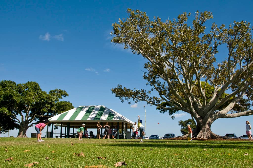 Picnic and BBQ Facilities