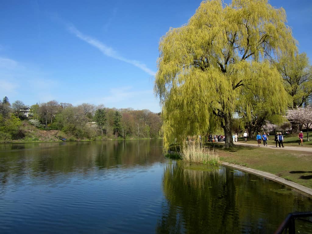 Grenadier Pond