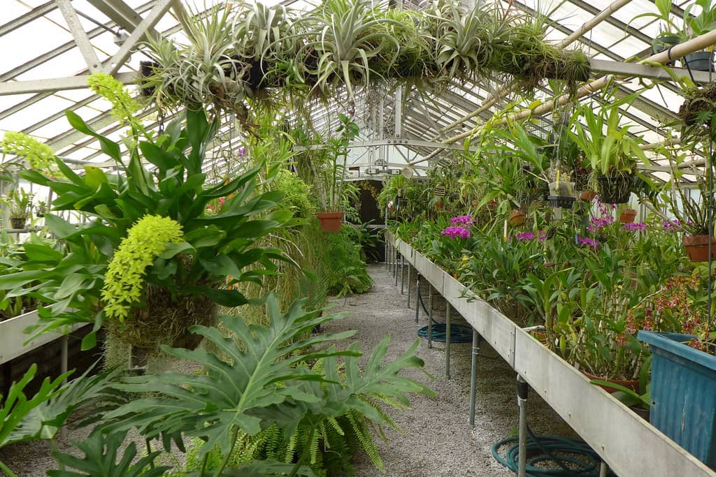 Seasonal Blooms