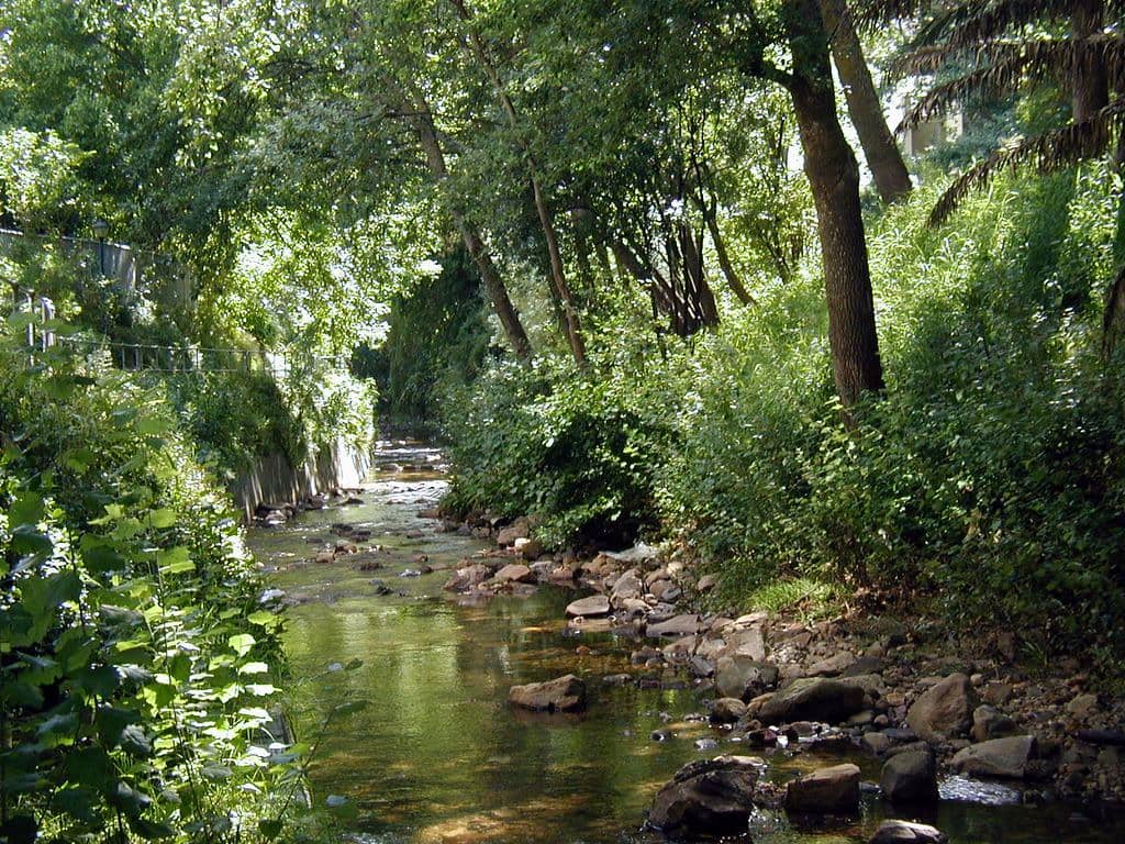 Babbling Streams