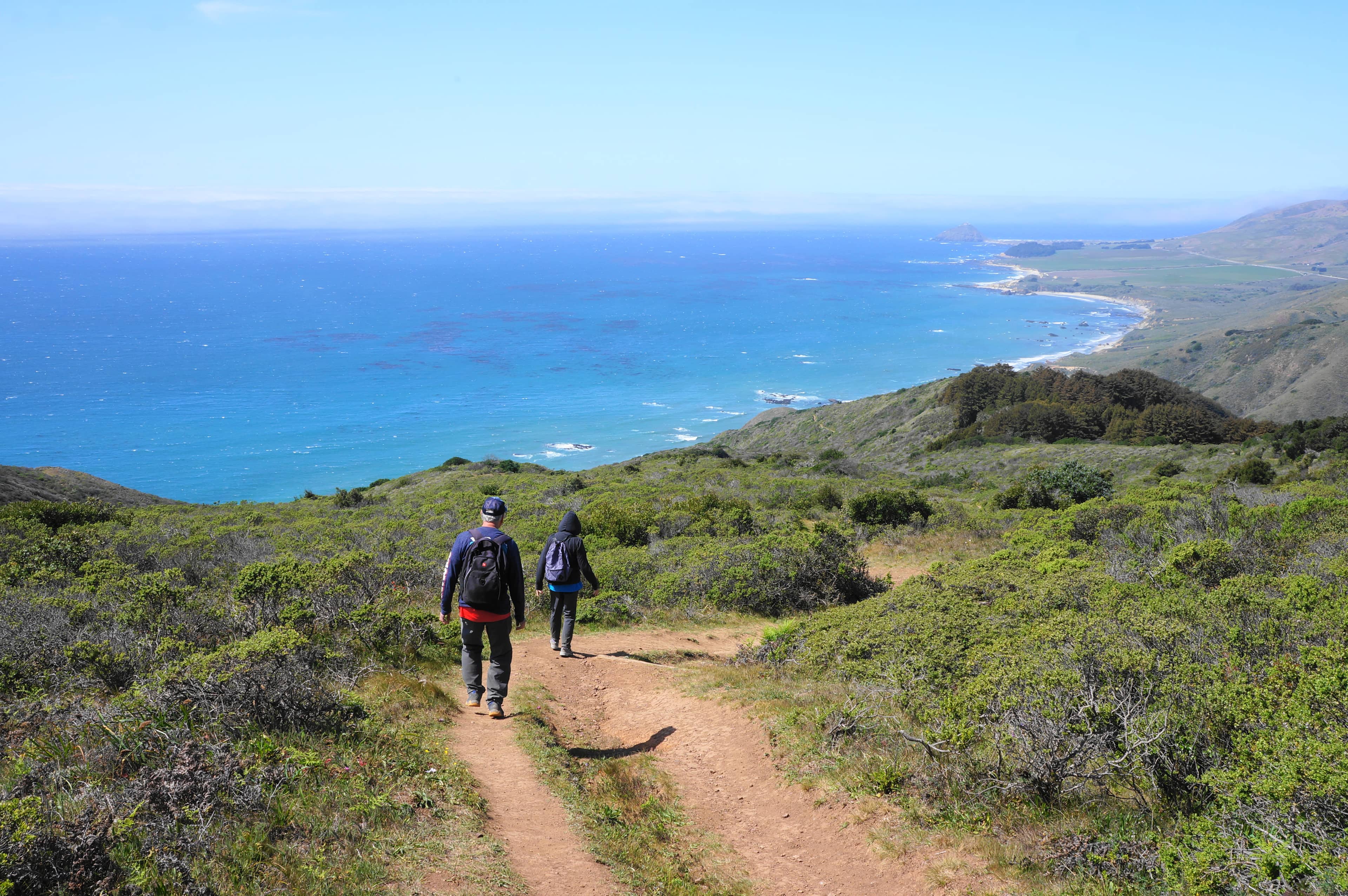 Bluff Trail Views