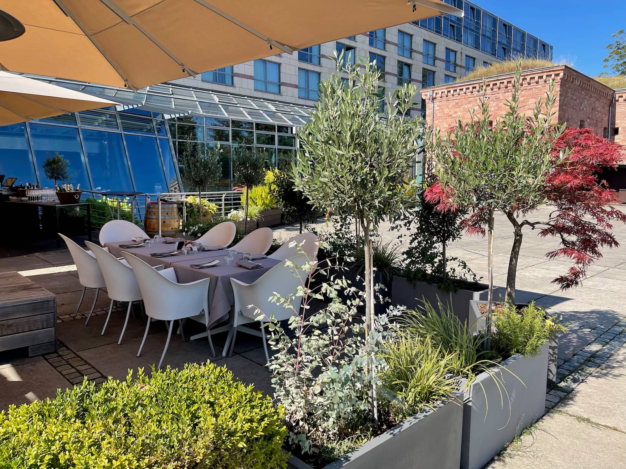 Rooftop Garden