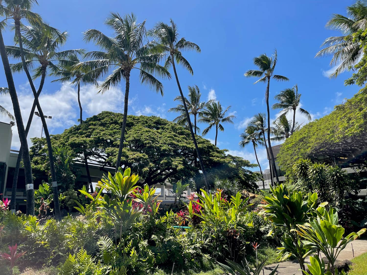 Lush Flora and Fauna