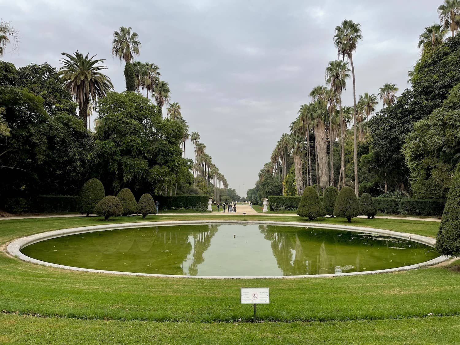 The 'Flying Park' Experience