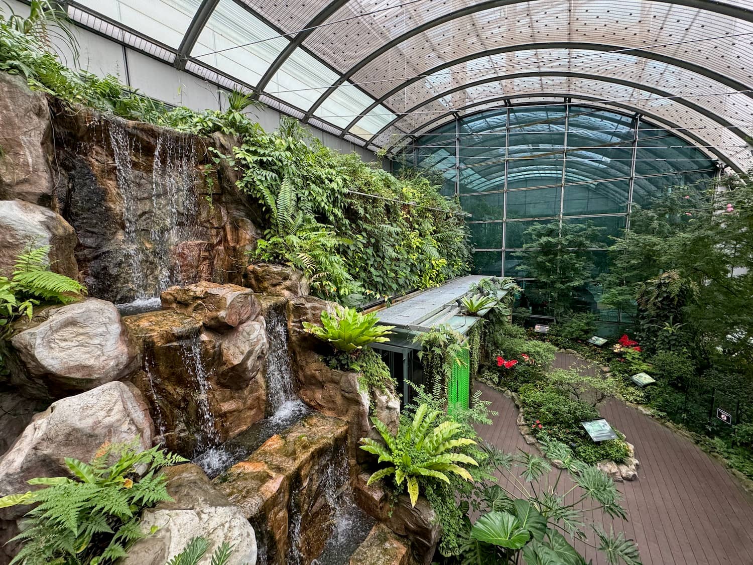 Butterfly Garden