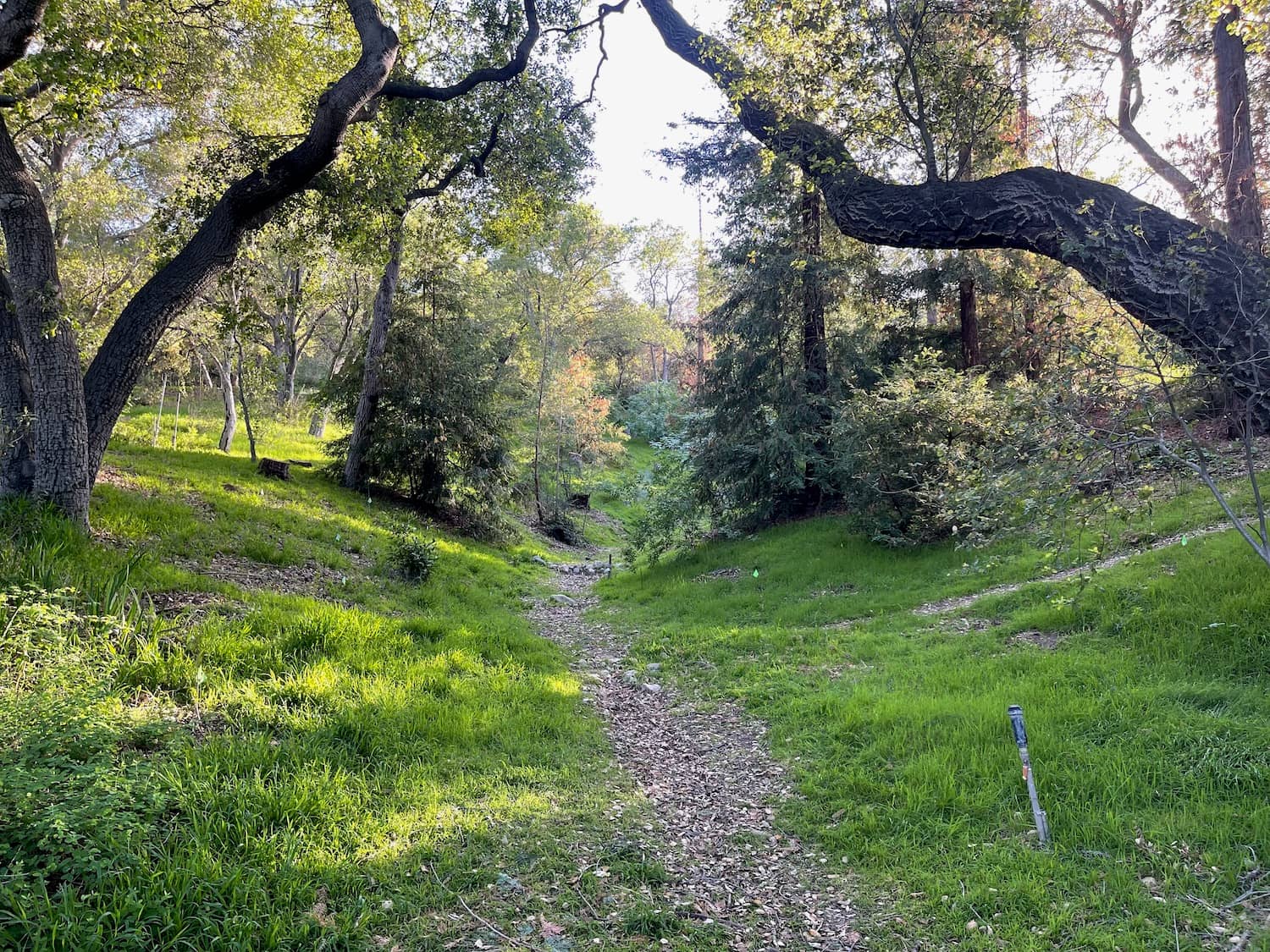 Walking Trails