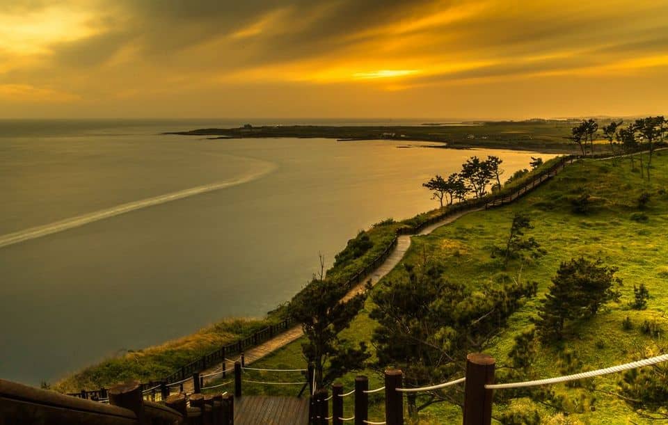 Sunset Vista