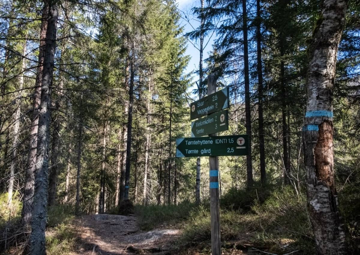 Extensive Hiking Trails