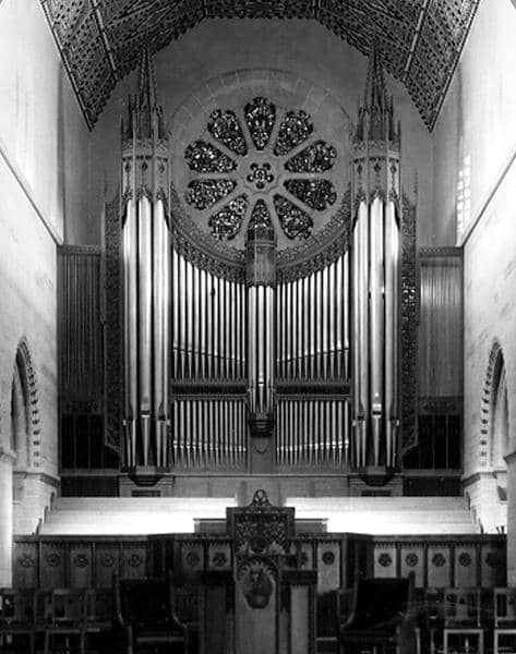 The Elegant Organ