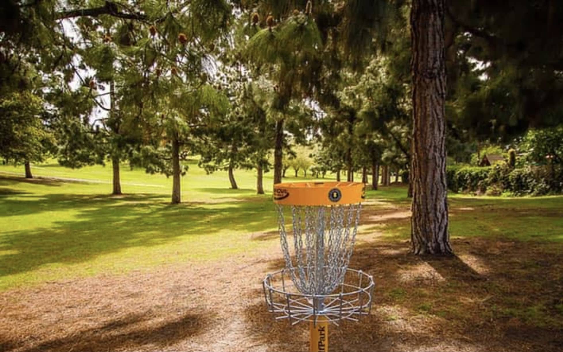 Disc Golf Courses