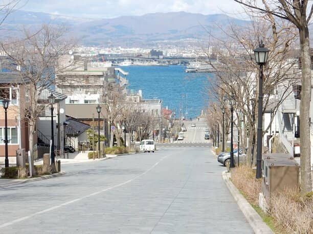 Hakodate Bay Panorama