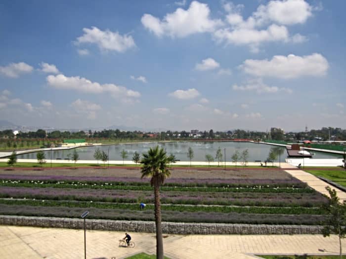 Playgrounds & Green Spaces