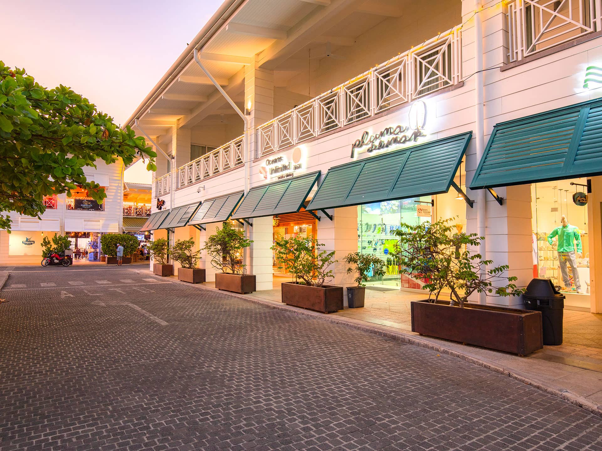 Local Shopping