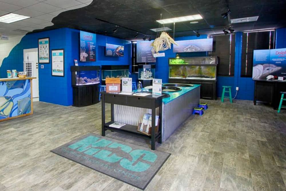 Marine Discovery Center