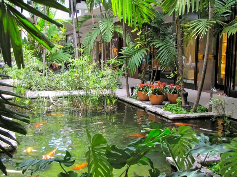 Lush Tropical Gardens