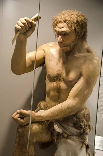 Southwest Evolution Exhibits