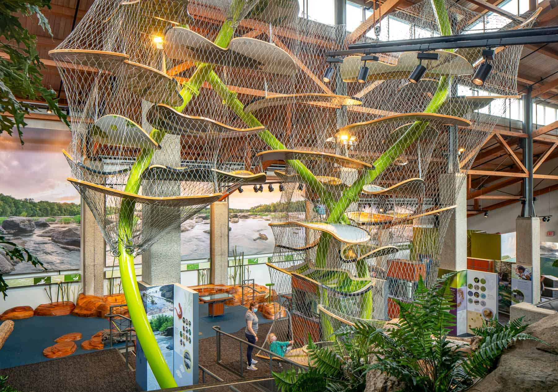Wildlife Exhibits