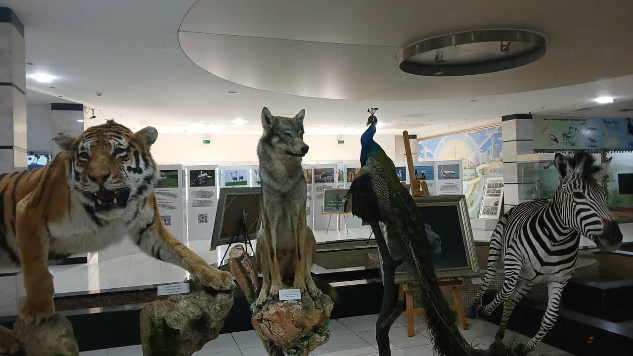 Olympic Exhibition