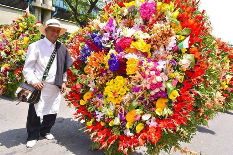 Vibrant Flower Displays