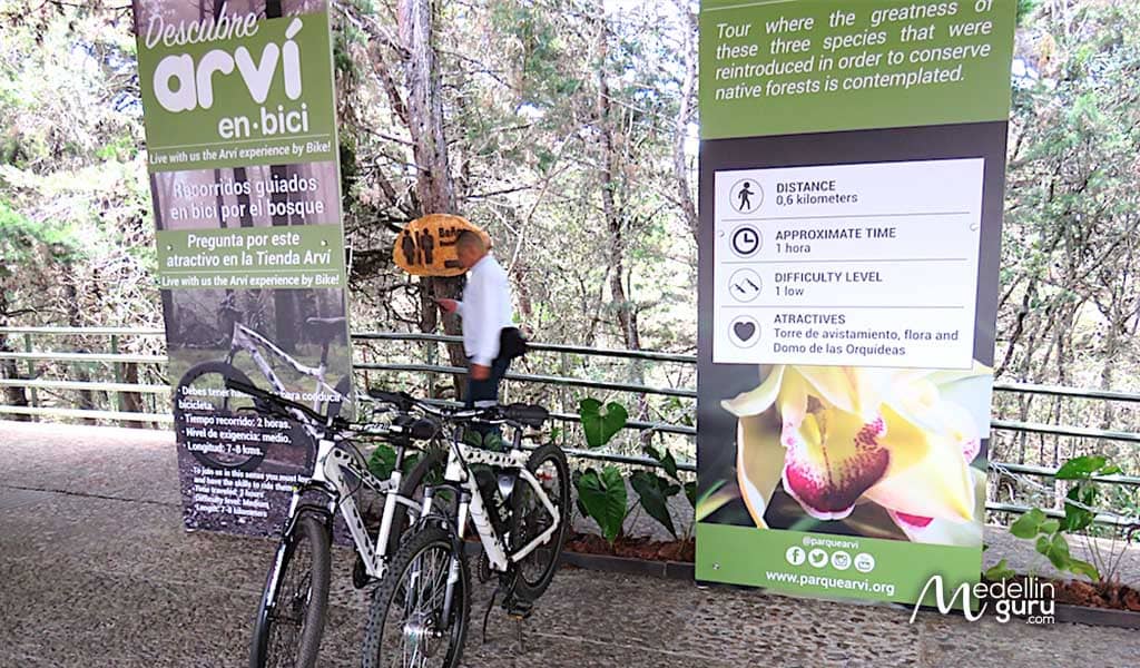 Bike Rentals