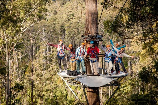 Epic Zip Lines