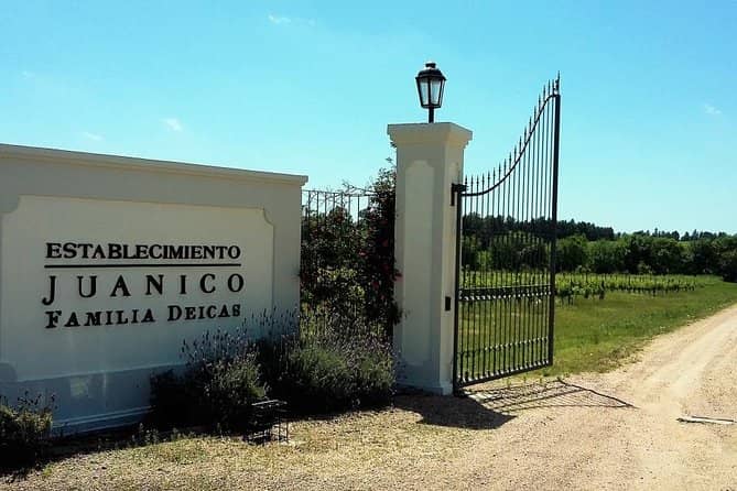 Informative Vineyard Tour