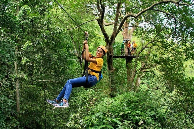Educational Rainforest Tour