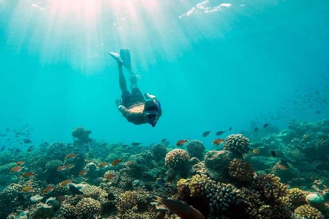Snorkeling & Diving Spots