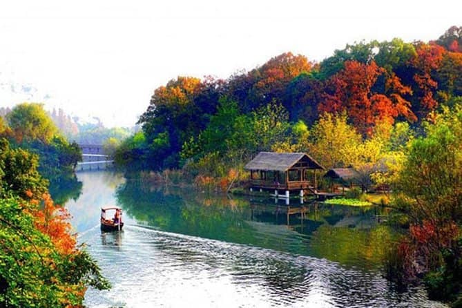 Serene Boat Tours