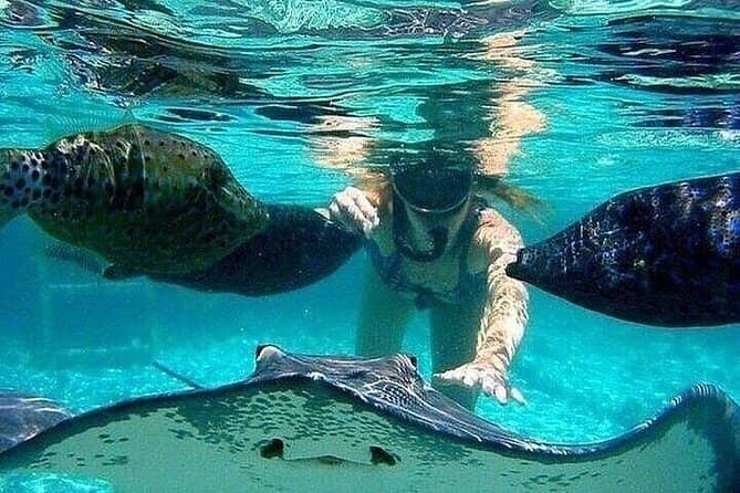 Vibrant Marine Life
