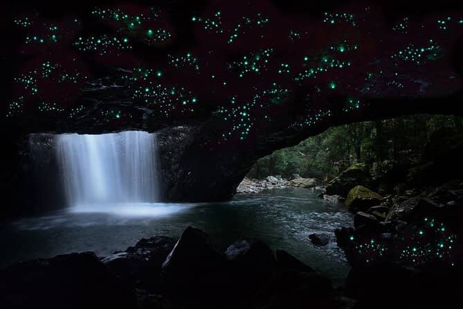 Glow Worm Cave