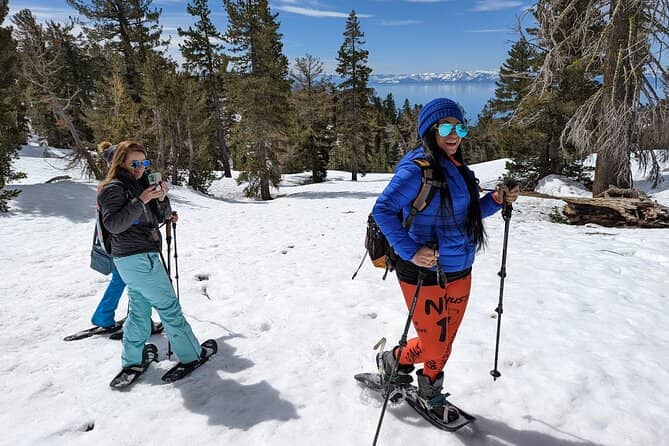 Chickadee Ridge