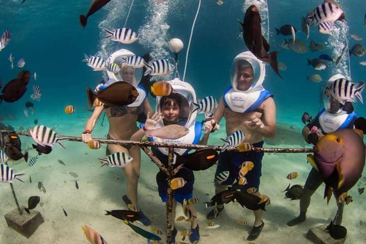 Sea Walker Experience