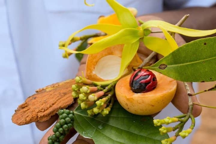 Pemba's Spice Farms