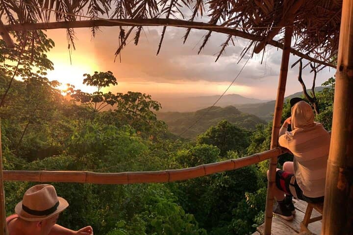 Coffee & Cacao Plantations