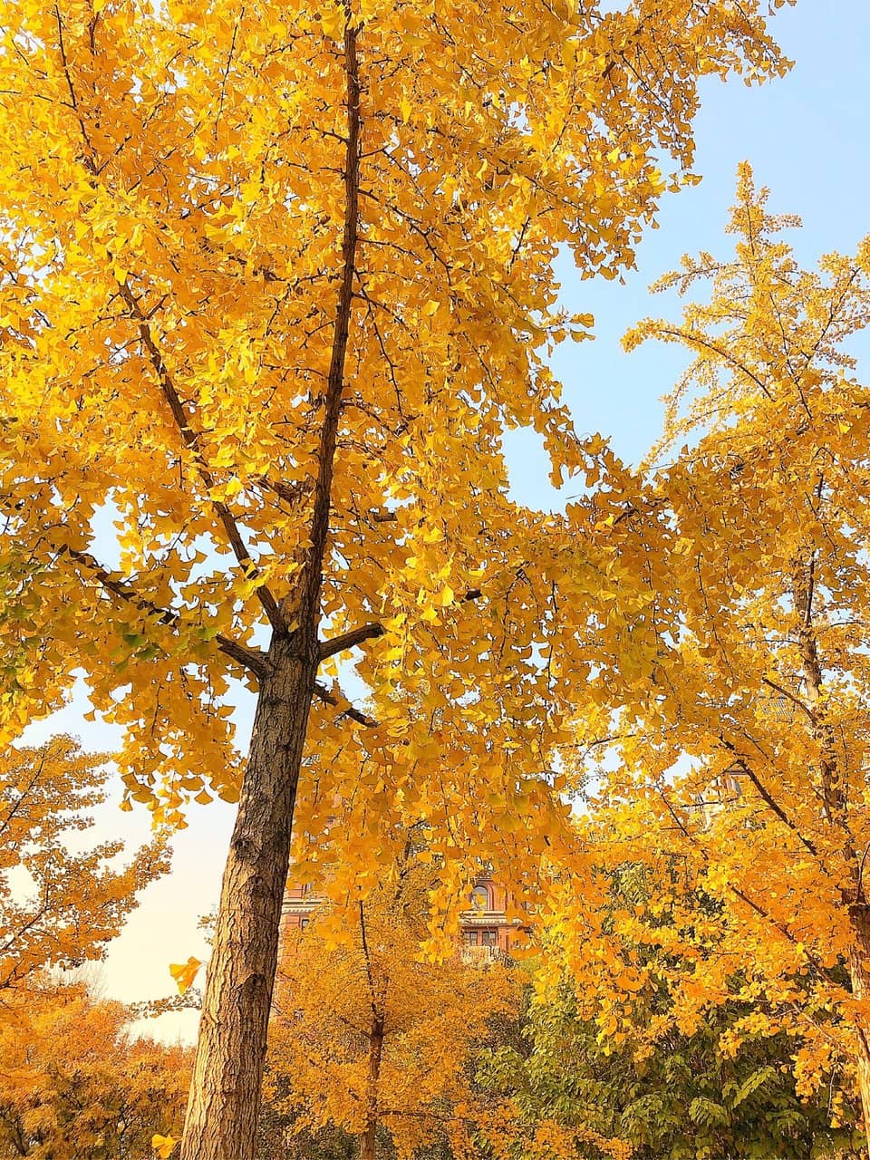 China Securities Museum