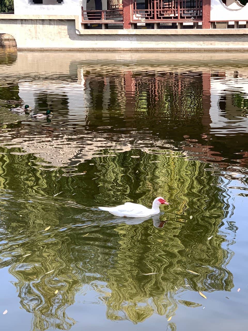 Jiangnan-Style Pavilions