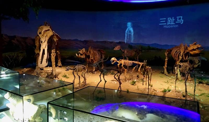 Mineral and Gemstone Collection