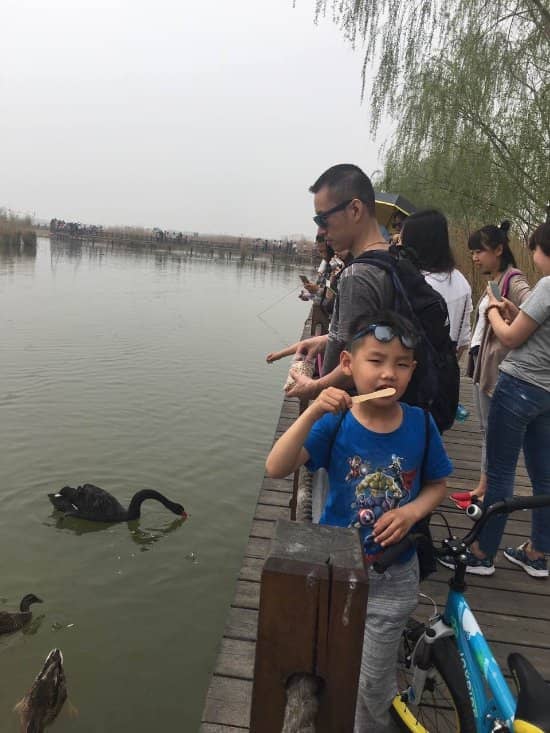 Bird Watching Opportunities