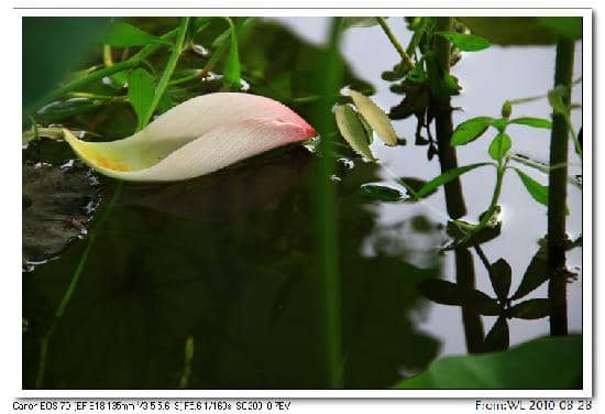 Scenic Lakeside Scenery