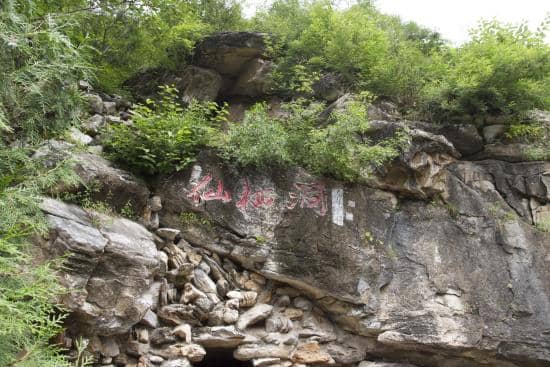 Nevada Desert Landscape