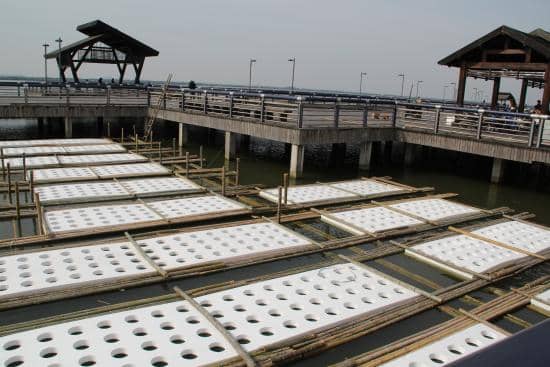 Boat Ride on the Lake