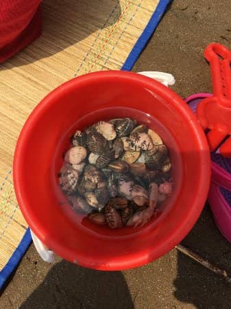 Hilltop Panoramic Views